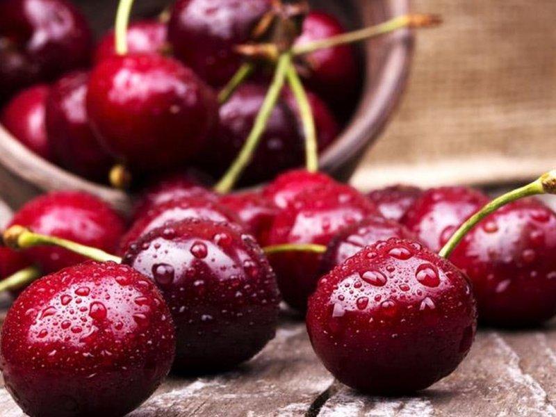 Вишня купить саженцы из питомника в Барнауле
